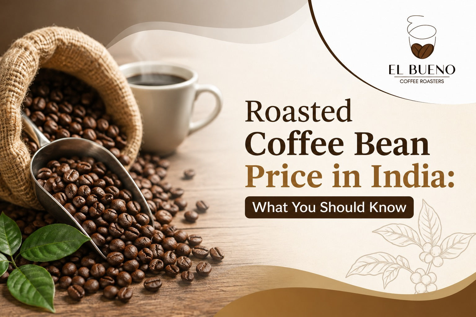 Roasted Coffee Bean Price in India: What You Should Know